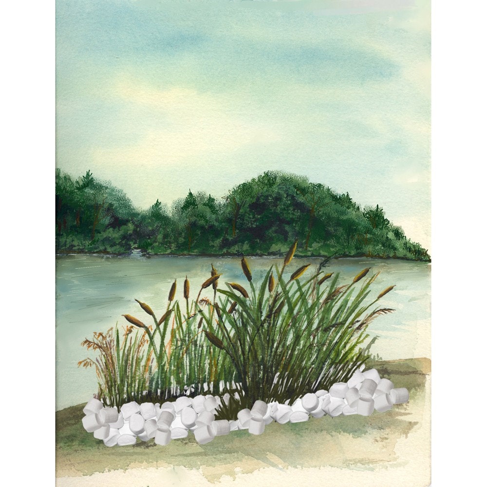 MARSHMALLOW MARSH 4.5x6 mixed media Print