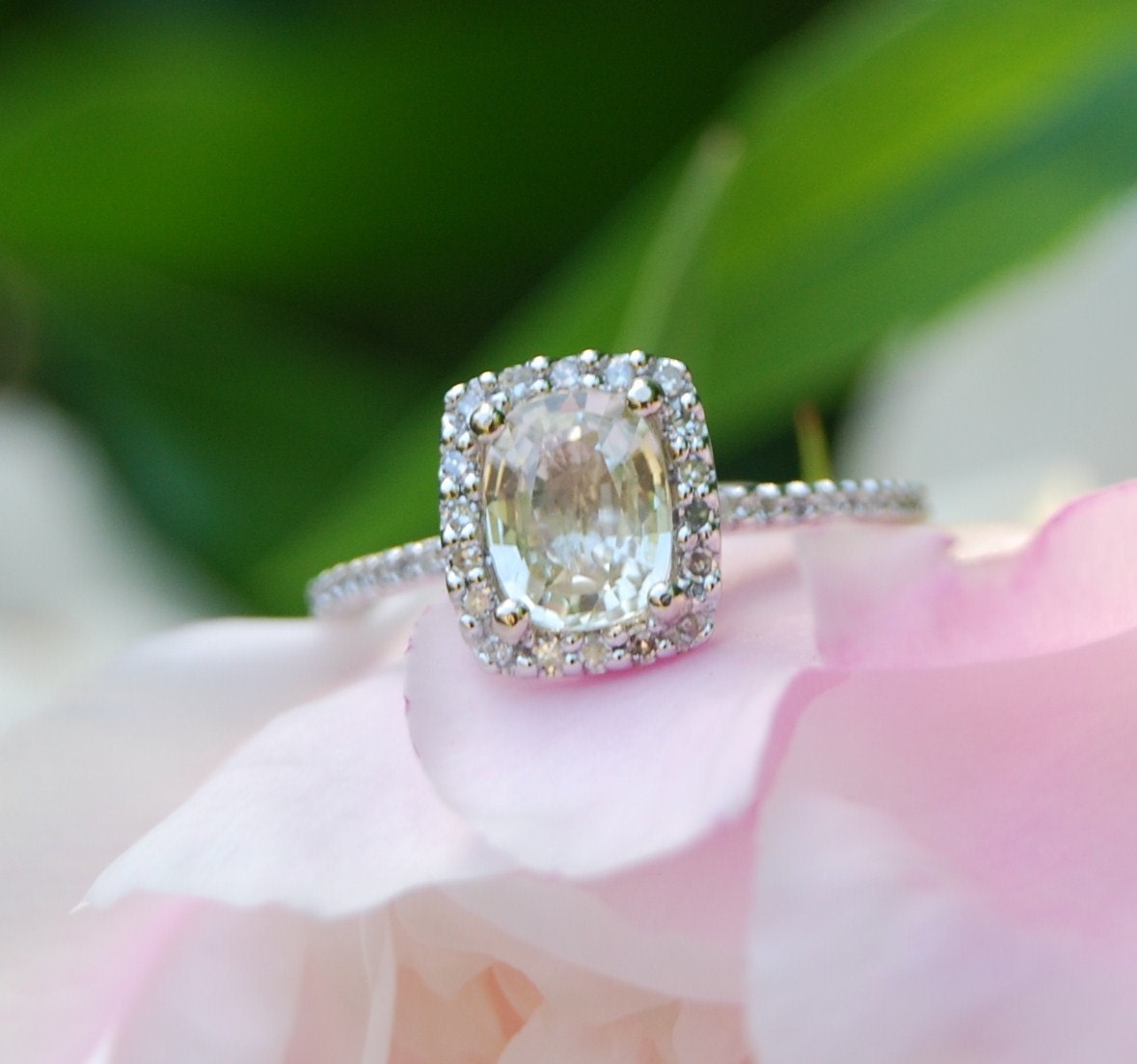 Cushion champagne sapphire white gold diamond ring