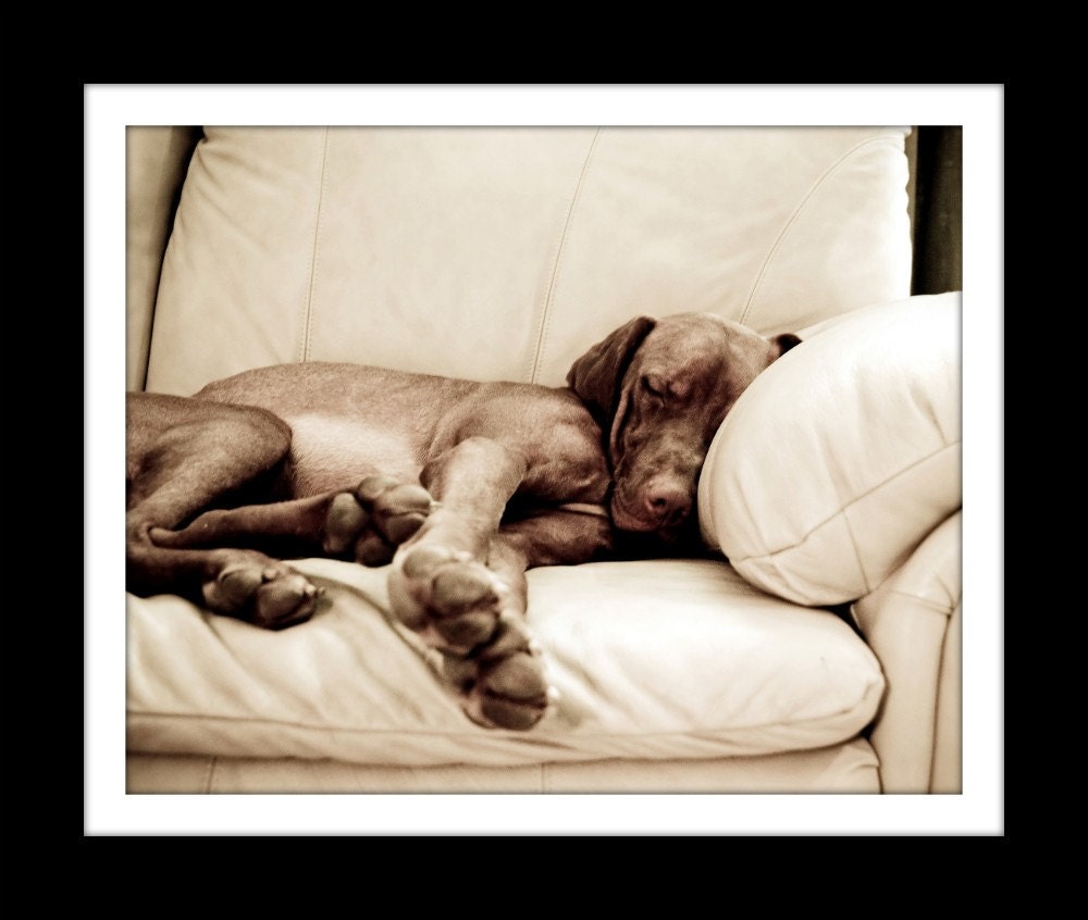 Good Company - 8x10 Fine Art Print