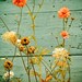 The Secret of Secrets - 8x10 Fine Art Print