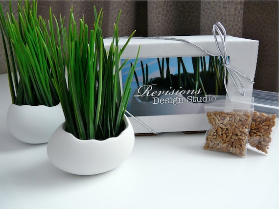 Porcelain Egg Planters, Wheat Grass Kit, Egg Sprouts Set of 2