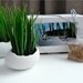 Porcelain Egg Planters, Wheat Grass Kit, Egg Sprouts Set of 2