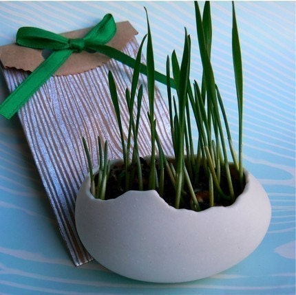 Egg Sprouts, Set of 2 Porcelain Egg Shells plus a packet of Wheatgrass Seeds, Grow your own place card settings.