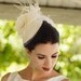 Ivory or White. Birdcage Veil, Feather Fascinator, Bridal Veil, Birdcage Veil, Silk Rose, Hat, High Fashion, Weddings, Batcakes Couture