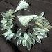 Full 8 Inches Strand - Natural Rare Moss Aquamarine Faceted Marquise Briolettes Size 20x9 - 12x6mm approx