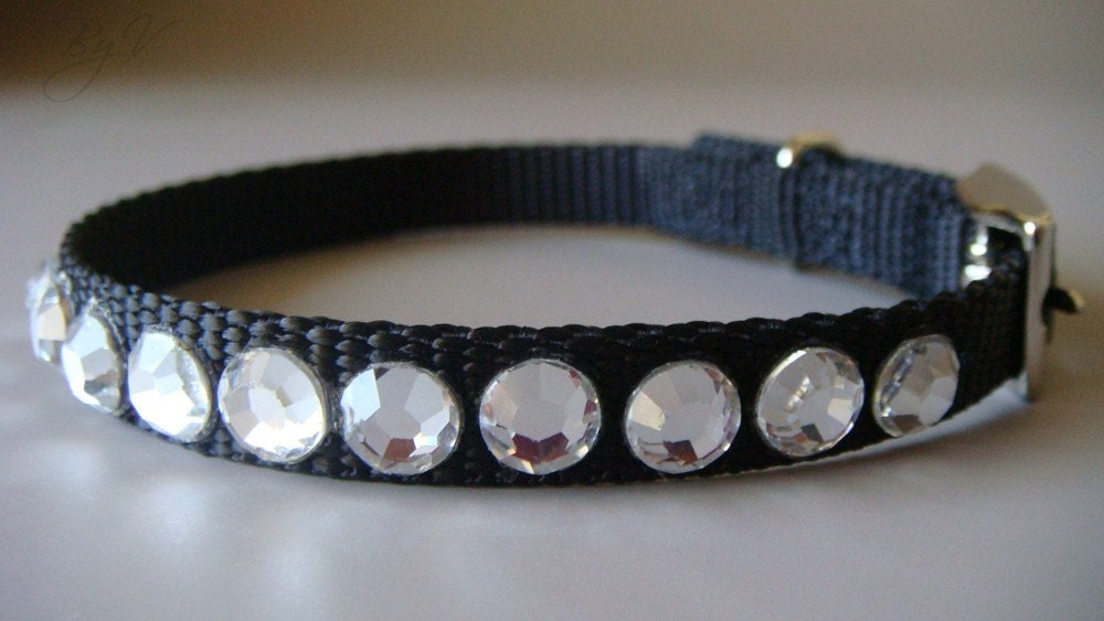 Couture Dog Collar-Black