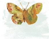 Moth Art - Glenn - Butterflies and Moths Series - 8x10 Art Print
