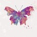 Butterfly Art - Jordy - Butterflies and Moths Series - 8x10 Print - Purple Blue Texture Contemporary Modern
