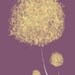 Puff - 12x18 Print