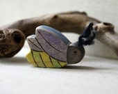 Summer Bugs- Fiona Firefly