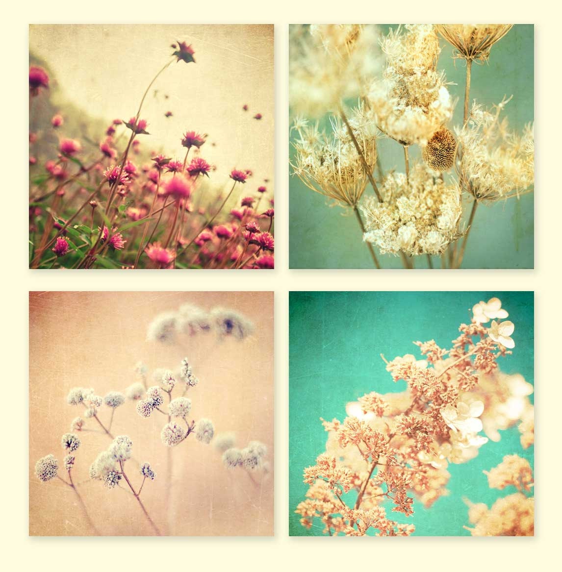 Flower prints home decor floral photography, wall art, rustic decor, nature photos spring garden botanical photos 4 5x5's