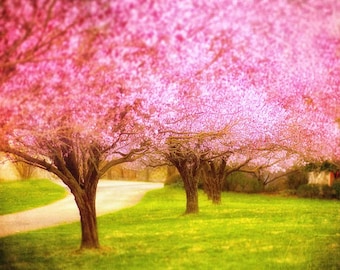 Children's decor nursery photography for a little girl's room, pink decor, cherry blossoms kids room pink green large art - 16x20