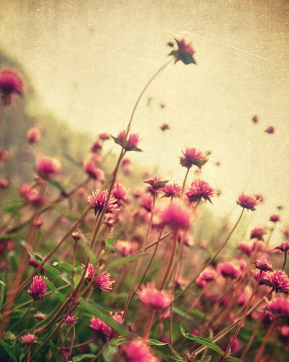 Spring nature photography purple wall art rustic decor fuchsia flower shabby chic print - french country home - 8x10 photography