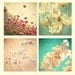 Floral prints home decor flower photography, wall art, photo collection, print set, nature photos spring garden botanical photos 4 8x8's