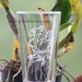 CHOCOBO Hand Engraved Fanart Glass (16 oz.) -- Tempered glass --