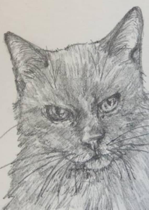 ACEO Original Little Black Cat Pencil Drawing by LadybugArtStudio