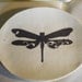 Oval Dragonfly Mini Plates