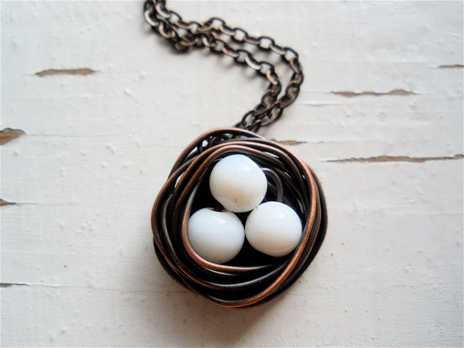 winter nest