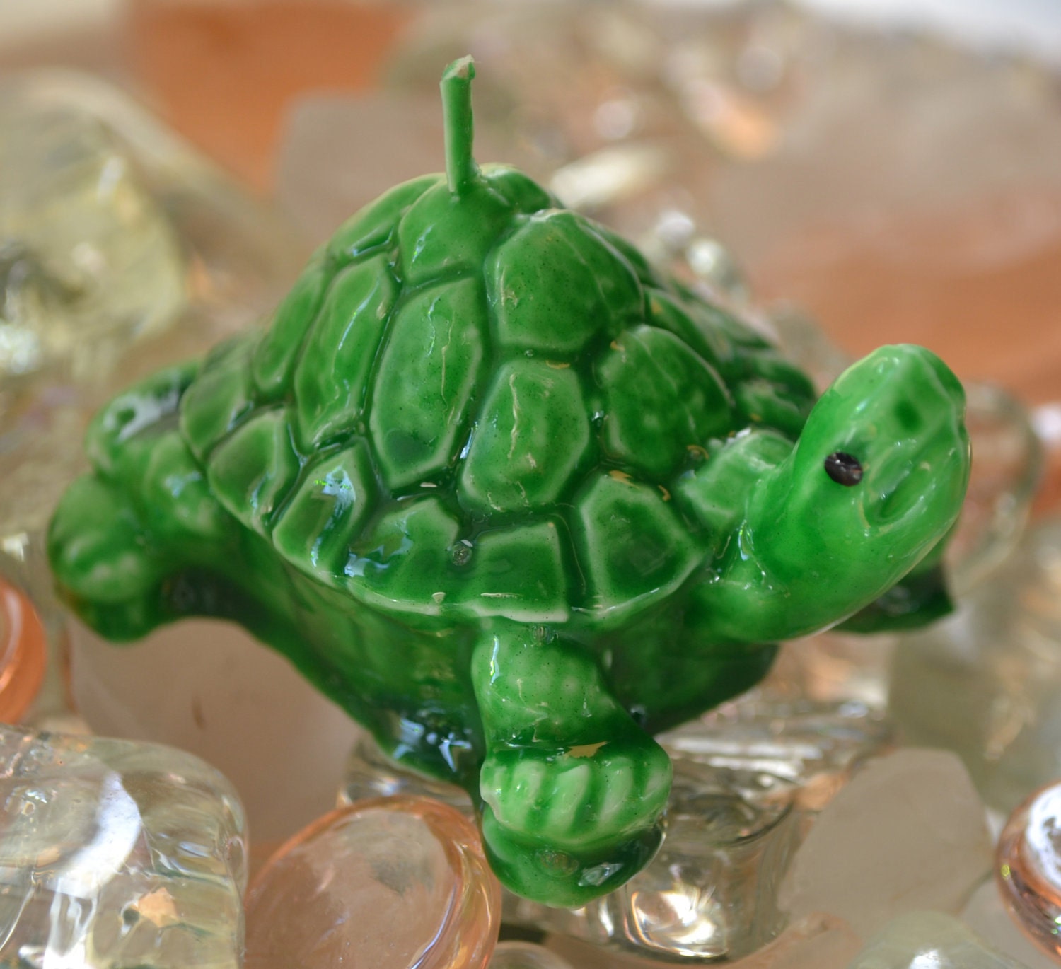 Mini Turtle candles set of 4