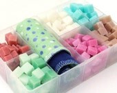 ANNIVERSARY SALE - The Die Hard - one huge sampler of all natural Soap Bit Wipe Solution Cubes - Choose your own scents