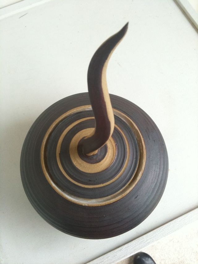 Lively Lidded Vessel, Asp