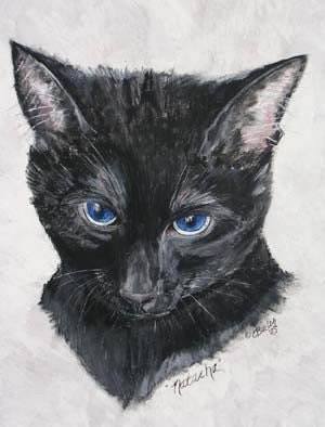 Pet Portrait