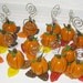 Pumpkins-Reserved for procks78