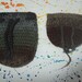 2 Small Pouches