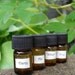 Elemental Oil Mini Sampler Set