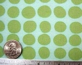 Amy Butler LOVE SUNSPOTS MINT Quilt Fabric - 1 Yard