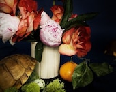 Botanical No. 0004 -  limited edition numbered print