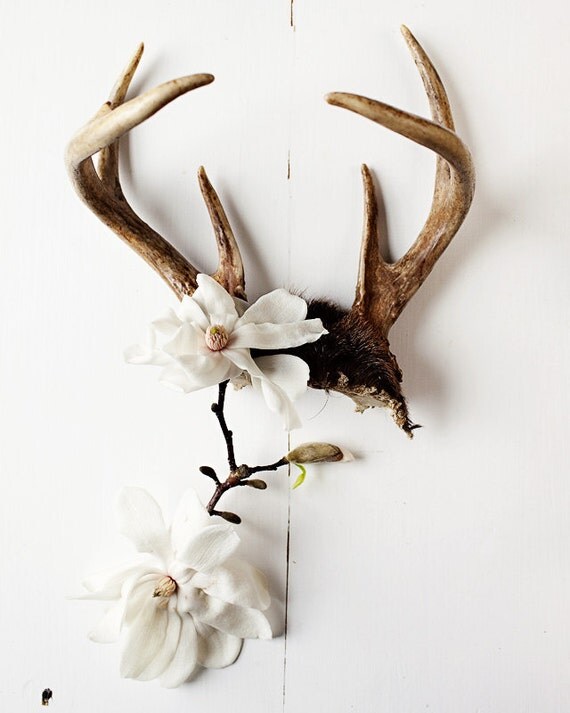 antler no. 6990