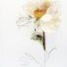 botanical drawing no. 6012