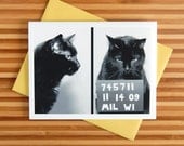 AC's Mug Shot Greeting Card - katefunk