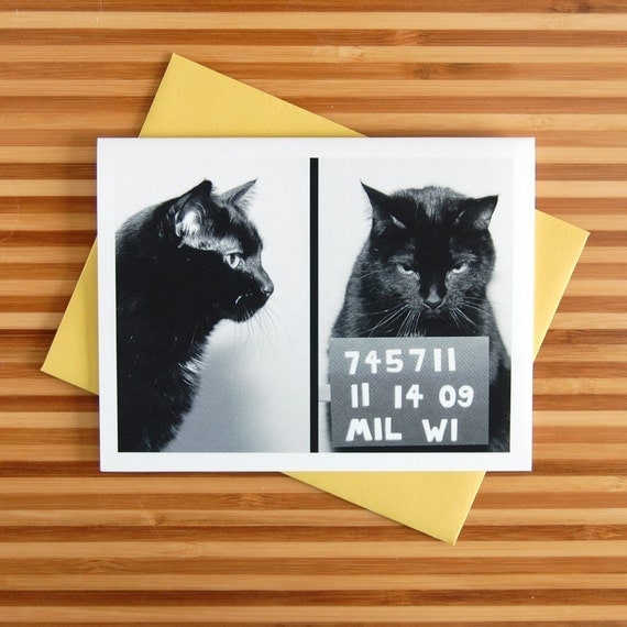 AC's Mug Shot greeting card