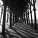 Pier 8x10 or 8x12