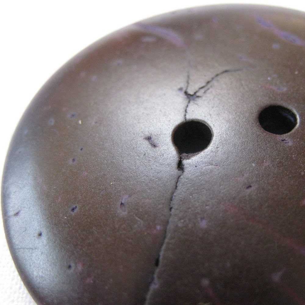 Purple Coconut Button