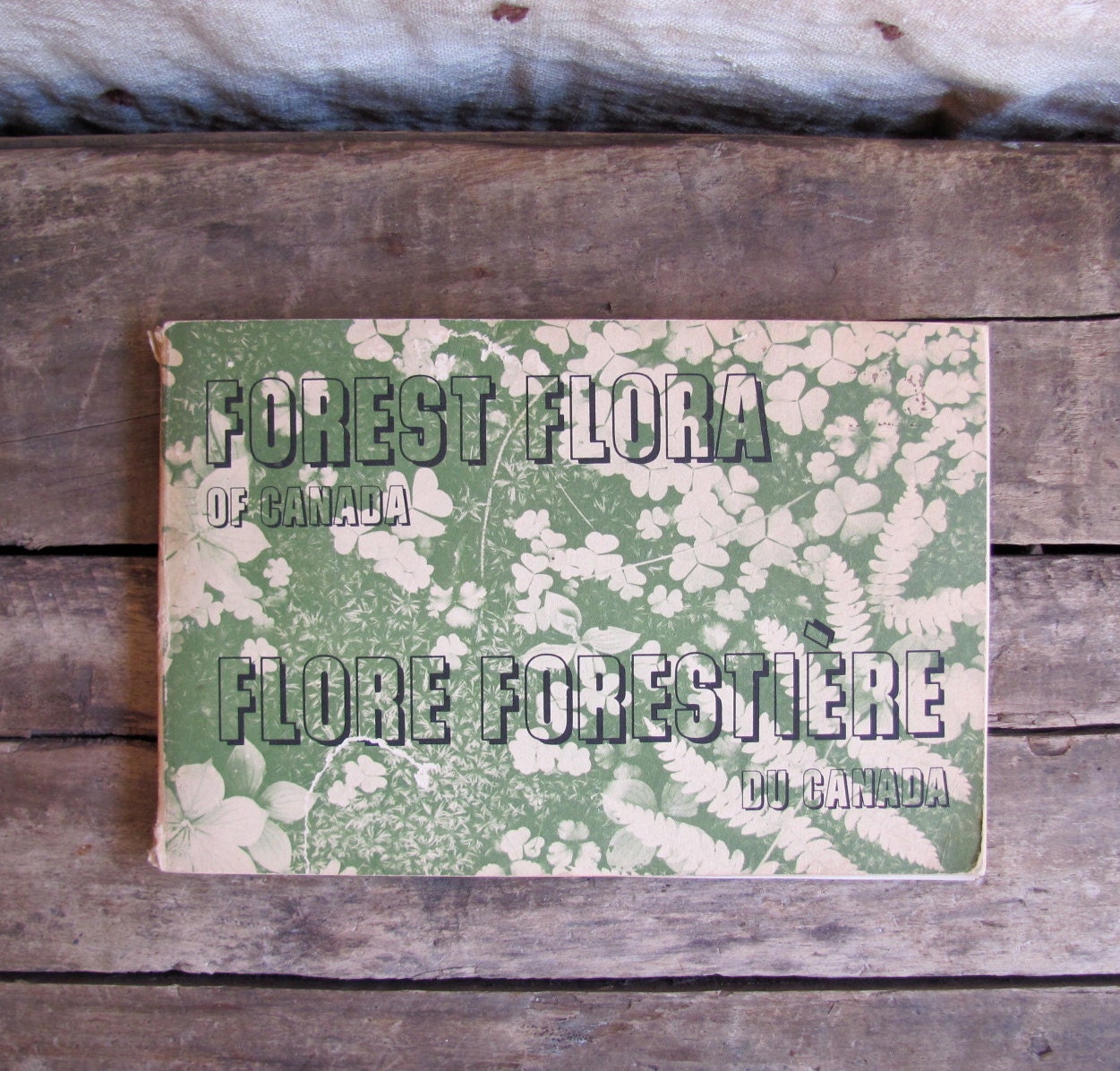 vintage 1960s book // Forest Flora of Canada