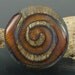 Ammonite Bead