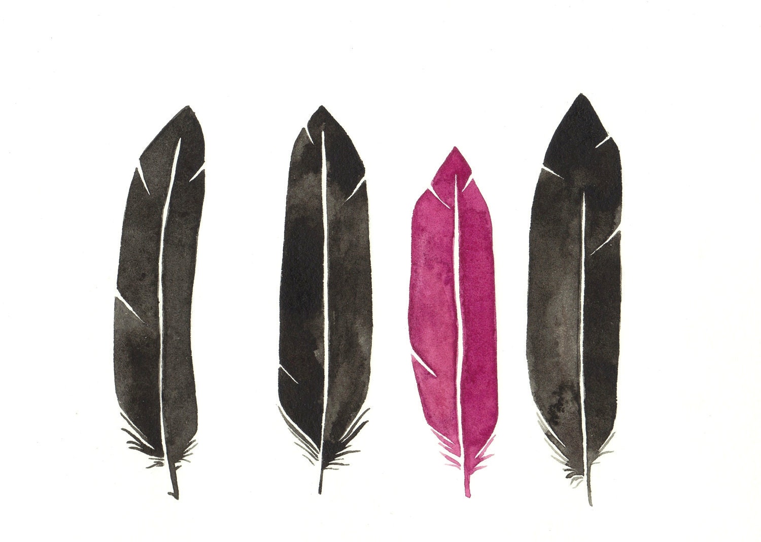 Feathers Anna Tovar