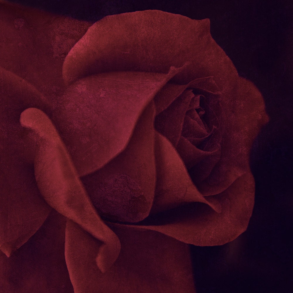 Dark Red Texture