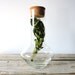 Tall Glass Apothecary Jar. Cork Lid.