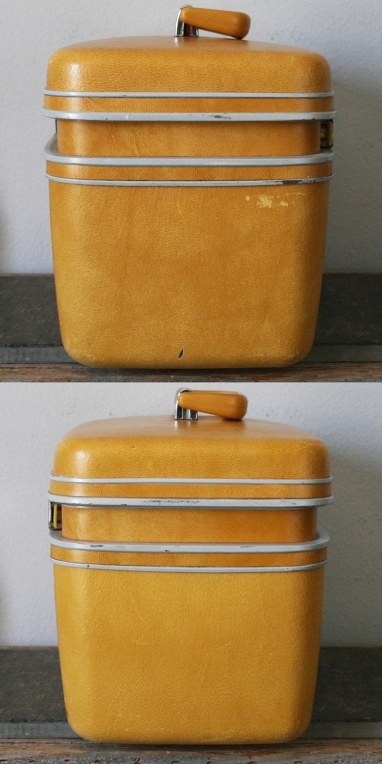 UPCYCLED Daffodil Yellow VINTAGE Train Case with Dandelions and Seedlings LUGGAGE