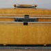 UPCYCLED Daffodil Yellow VINTAGE Train Case with Dandelions and Seedlings LUGGAGE