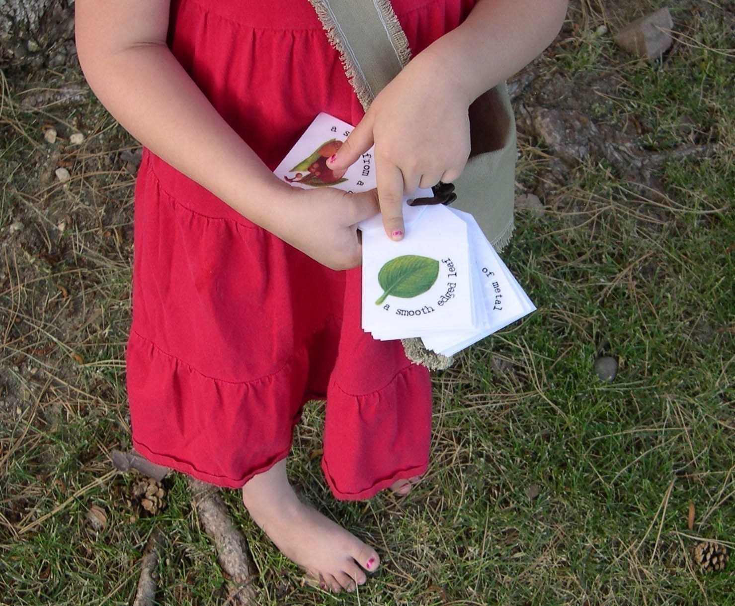 Playground Scavenger Hunt Cards