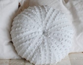 Recycled Chenille Sea Urchin Pillow - Large- white