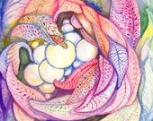Original Watercolor Painting Nest