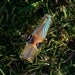 24 Kt Gold Fumed Chillum