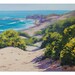 ORIGINAL Oil Painting 20 x 16" Dunes Impressionist Seascape Paintings