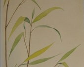 OriginalPainting - Single Sparrow in Bamboo